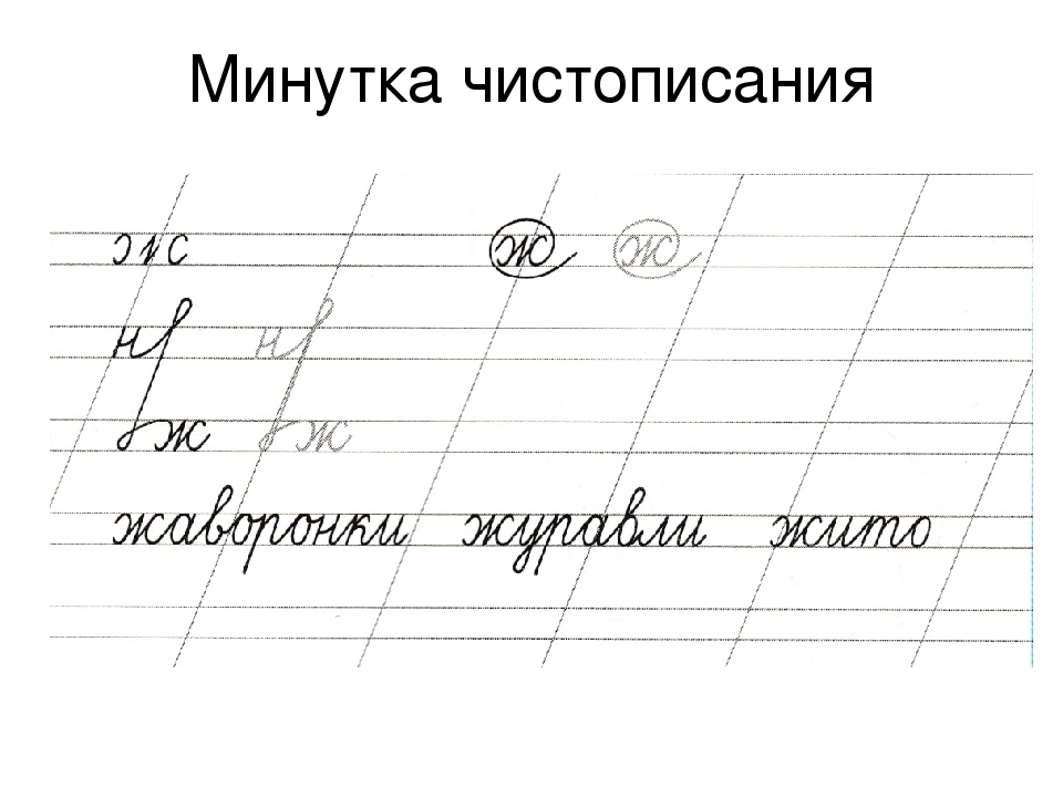 Минутка чистописания по русскому языку 2 класс образцы